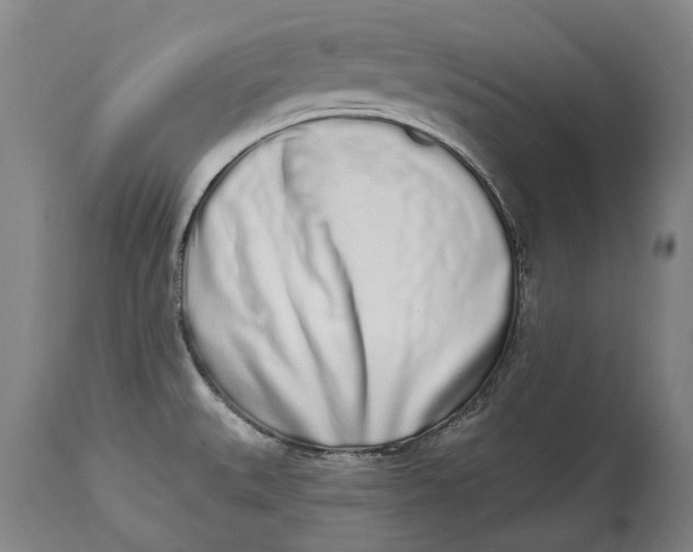 X0000115111527200911171253