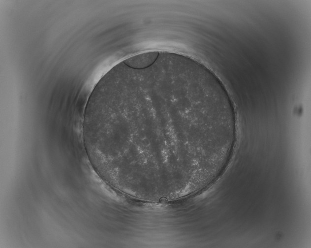 X0000115111529200911171253