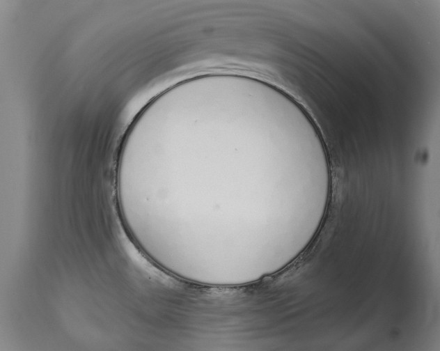 X0000115111531200911171253