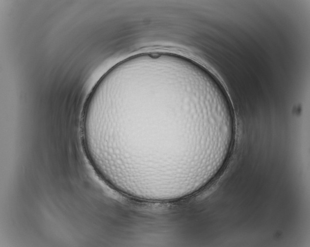X0000115111533200911171253