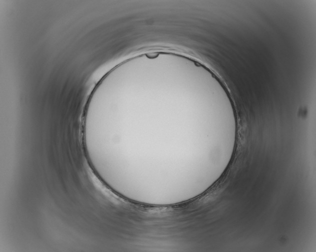 X0000115111535200911171253