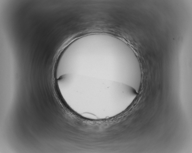 X0000115110005200911241336