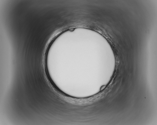 X0000115110006200911241336