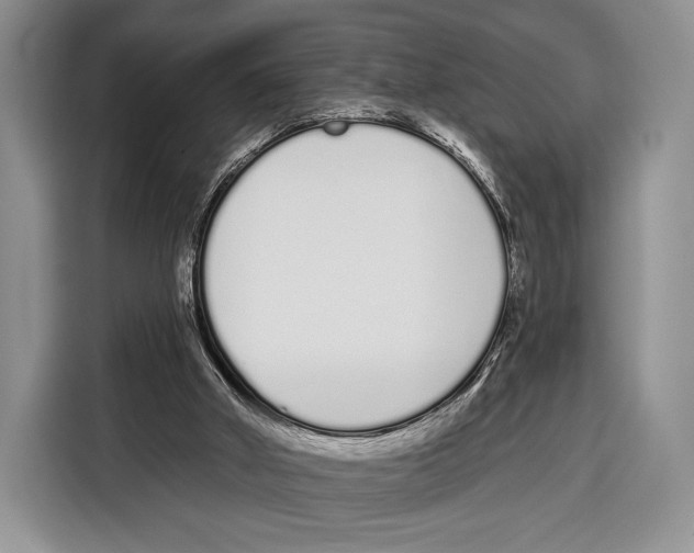 X0000115110010200911241336