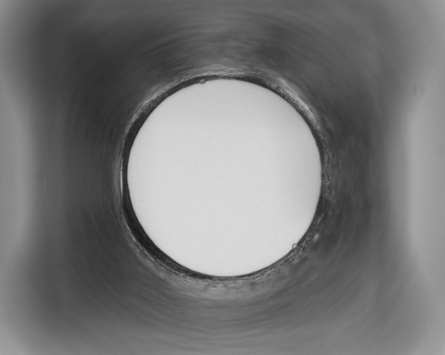 X0000115110011200911241336