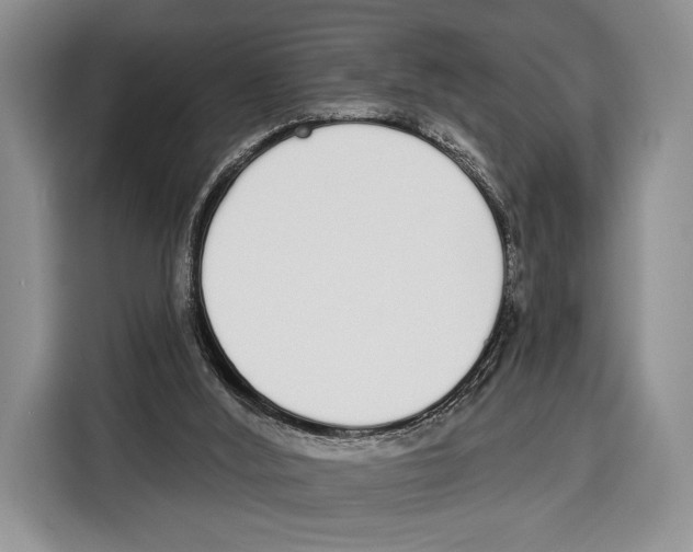 X0000115110012200911241336