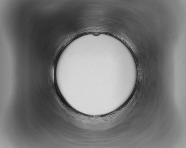 X0000115110014200911241336