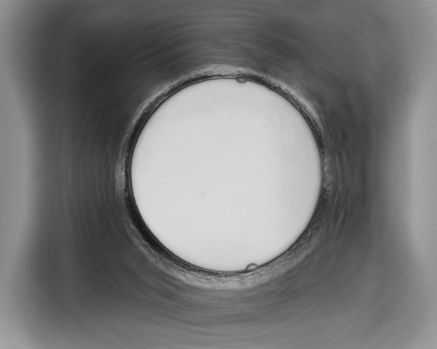 X0000115110015200911241336