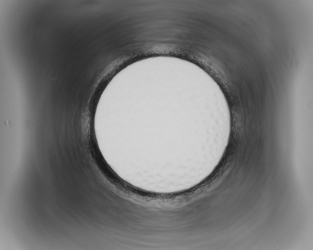 X0000115110016200911241336