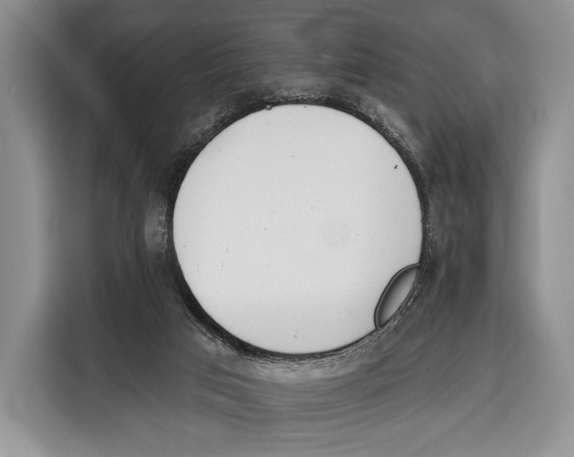 X0000115110017200911241336