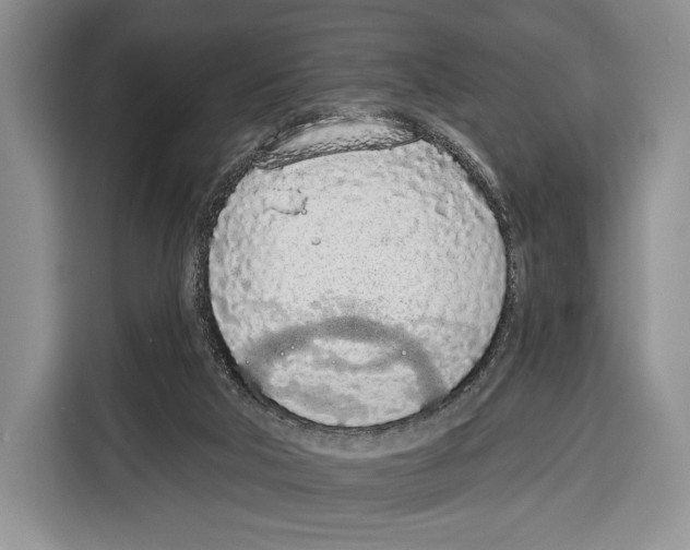 X0000115110018200911241336