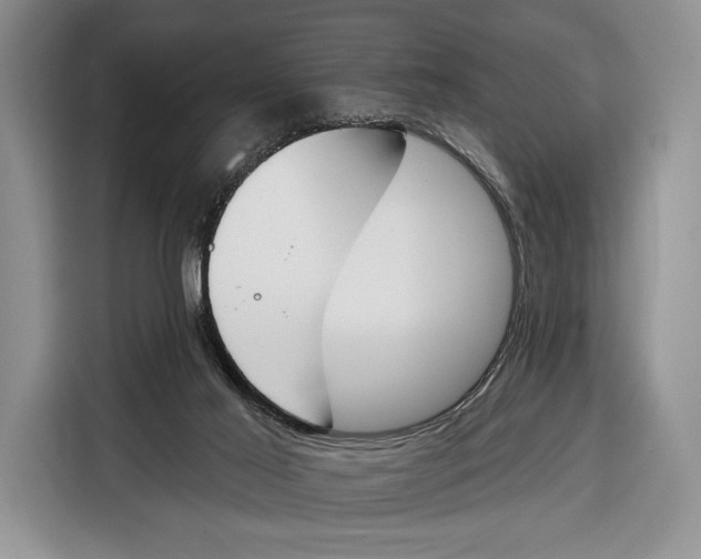 X0000115110021200911241336