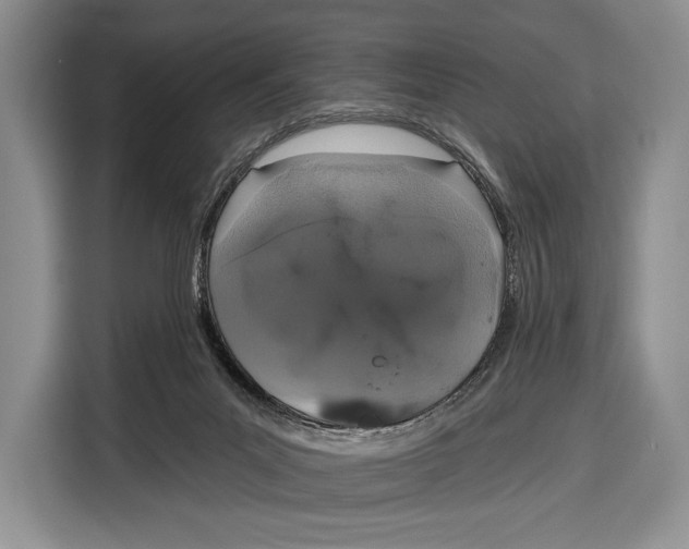 X0000115110023200911241336