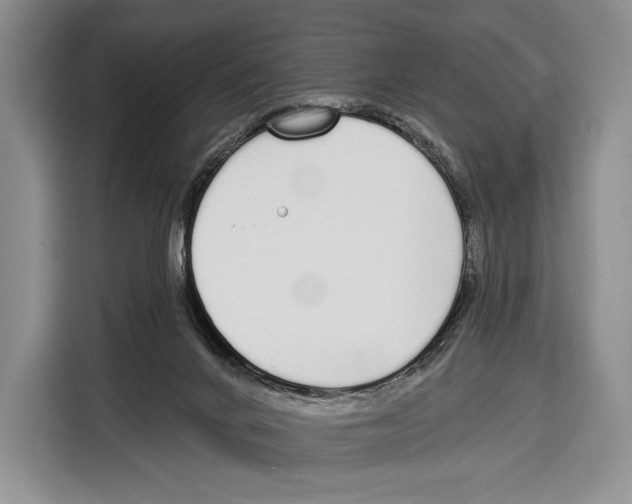 X0000115110024200911241336