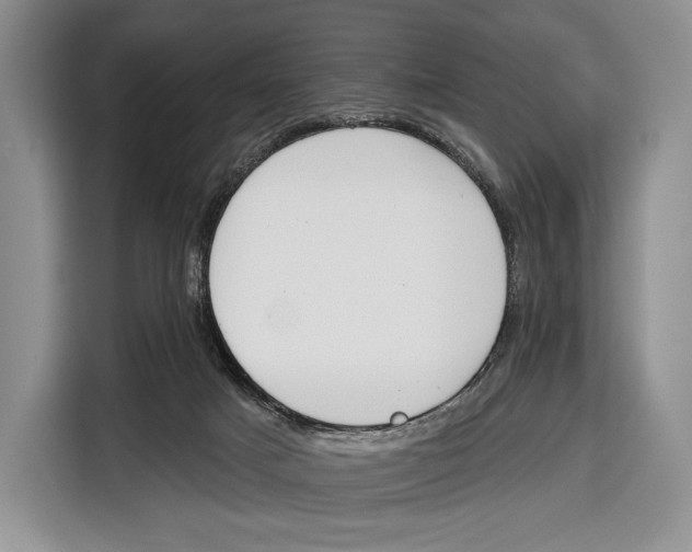 X0000115110025200911241336