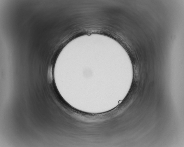 X0000115110028200911241336