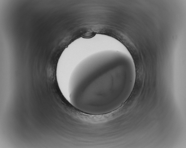 X0000115110031200911241336