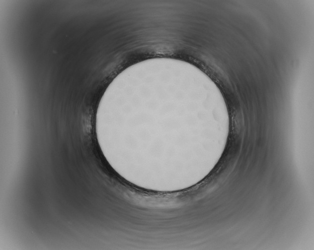 X0000115110032200911241336