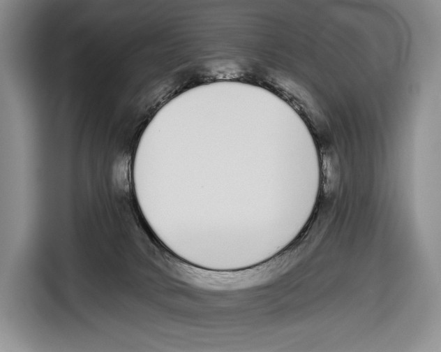 X0000115110034200911241336