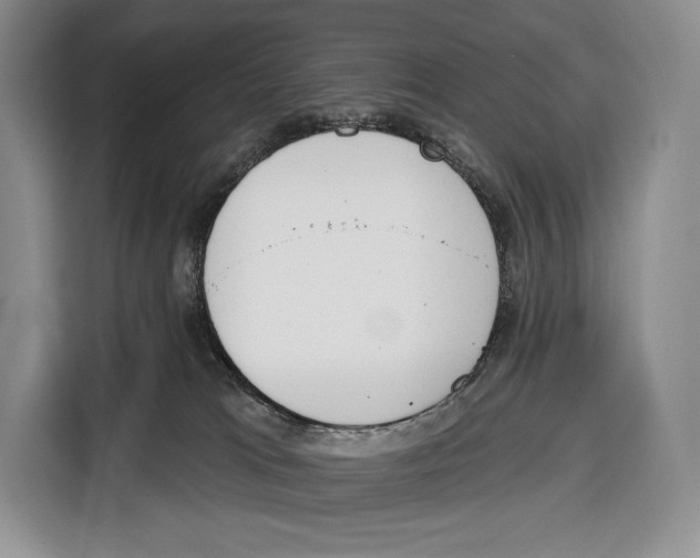 X0000115110037200911241336