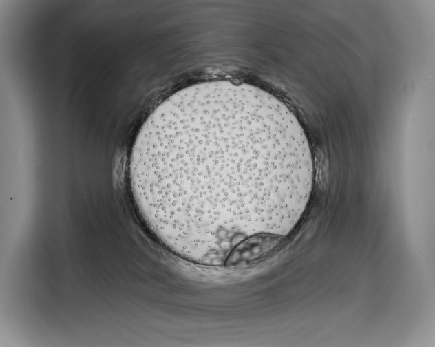 X0000115110038200911241336