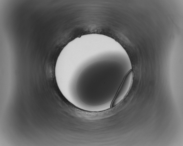 X0000115110039200911241336