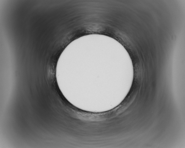 X0000115110040200911241336