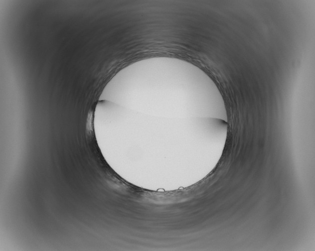 X0000115110041200911241336