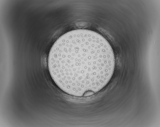 X0000115110042200911241336