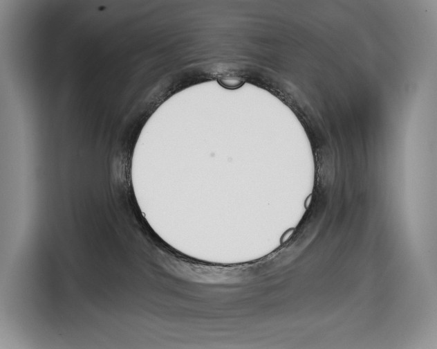 X0000115110044200911241336