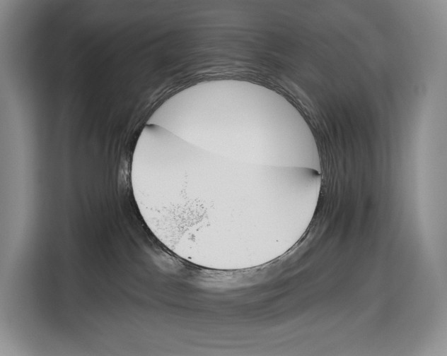 X0000115110045200911241336