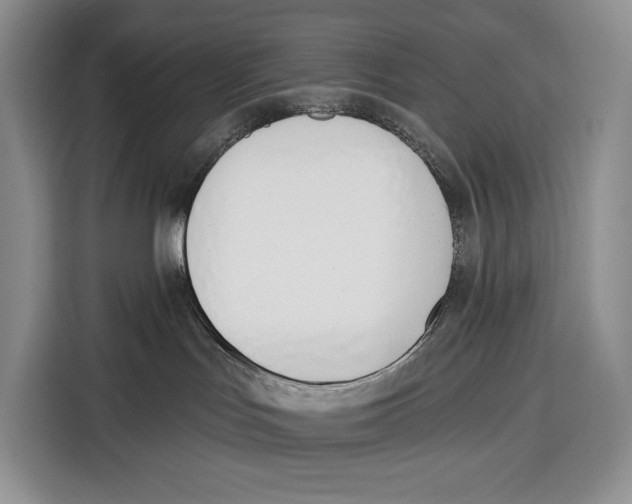 X0000115110047200911241336