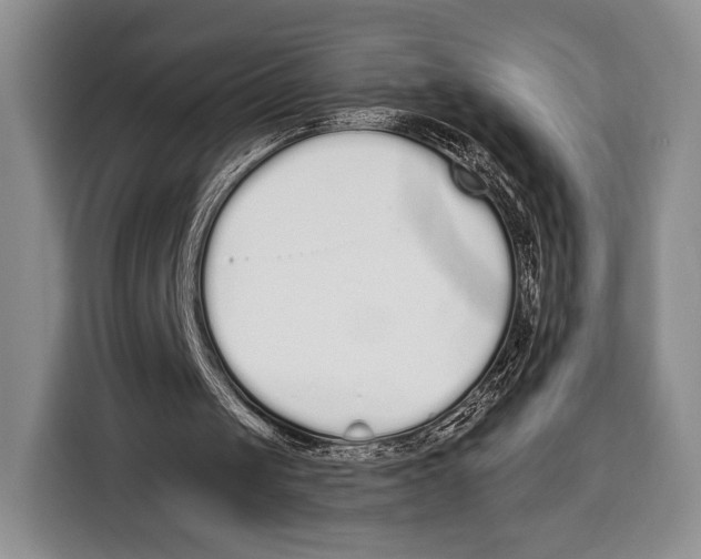 X0000115110049200911241335