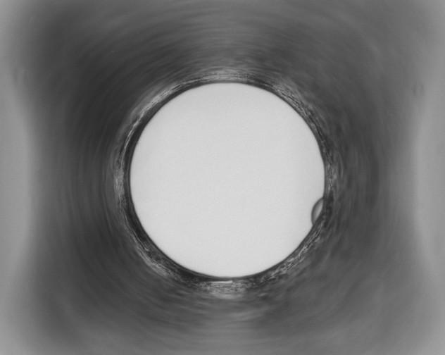 X0000115110050200911241335