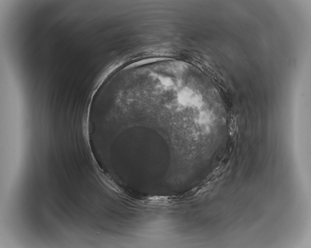 X0000115110052200911241335