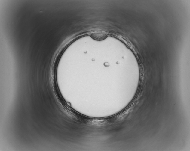 X0000115110055200911241335