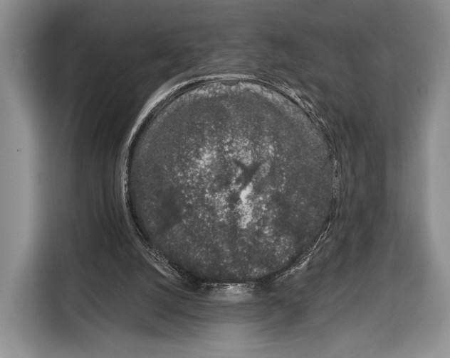 X0000115110056200911241335