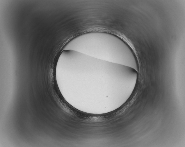 X0000115110057200911241335