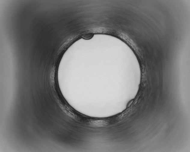 X0000115110058200911241335