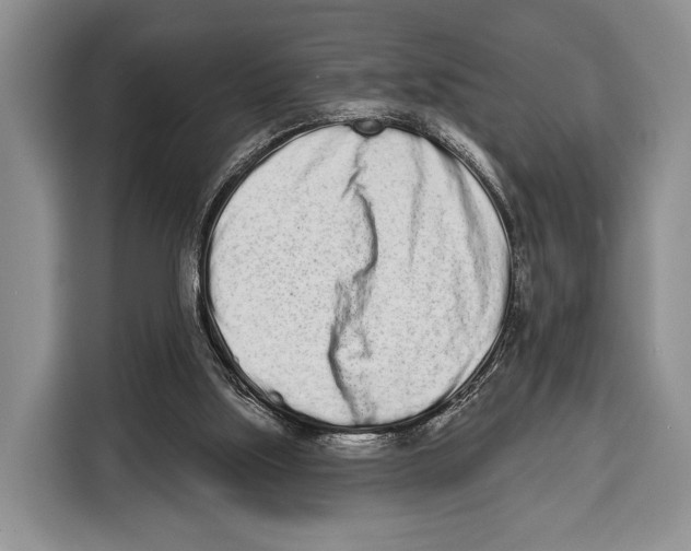 X0000115110059200911241335