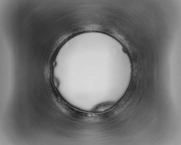 X0000115110060200911241335