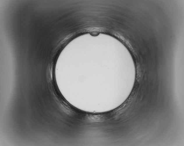 X0000115110062200911241335