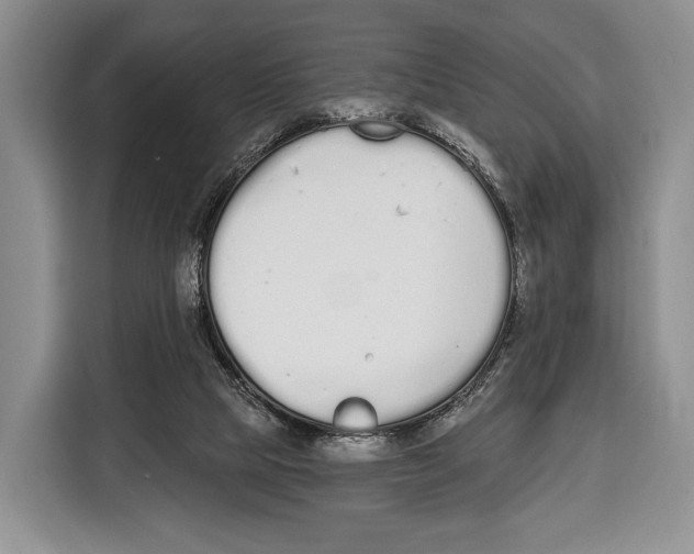 X0000115110065200911241335