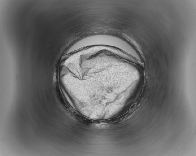 X0000115110067200911241335