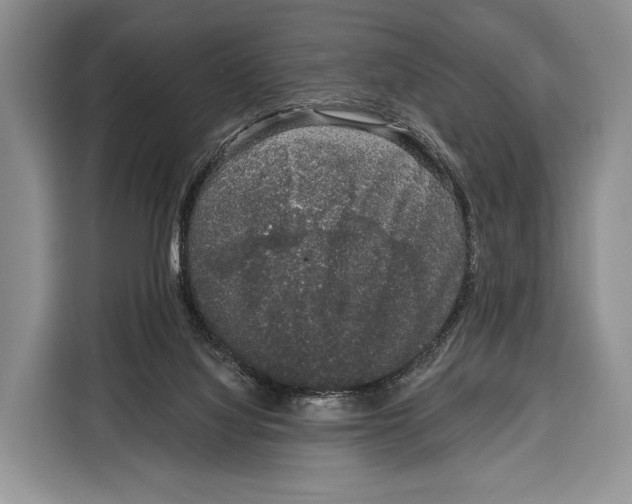 X0000115110068200911241335