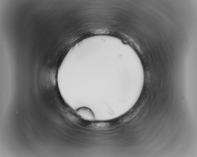 X0000115110069200911241335