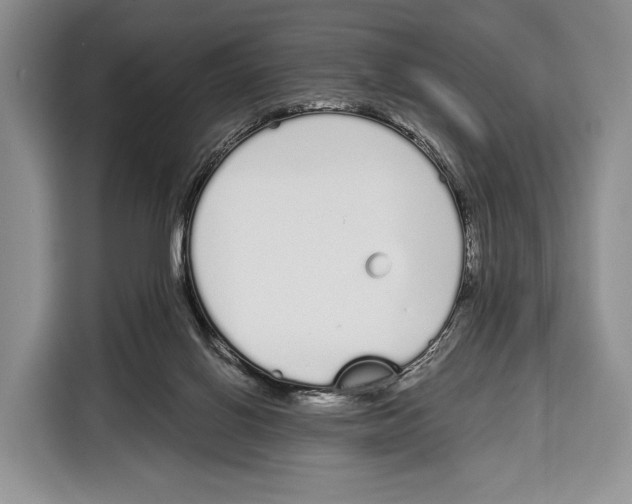 X0000115110070200911241335