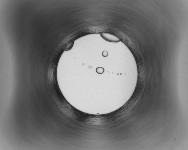 X0000115110071200911241335