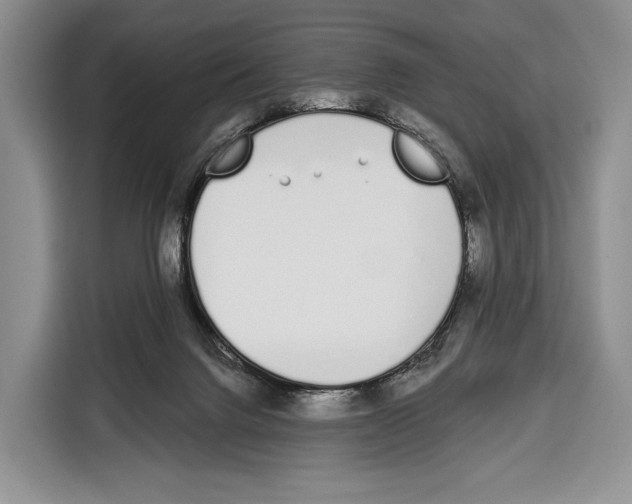 X0000115110072200911241335