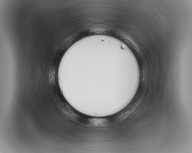 X0000115110073200911241335